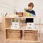2-Shelf Double-Sided Storage Cabinet, 24", Birch Plywood, Classroom & Playroom Organizer